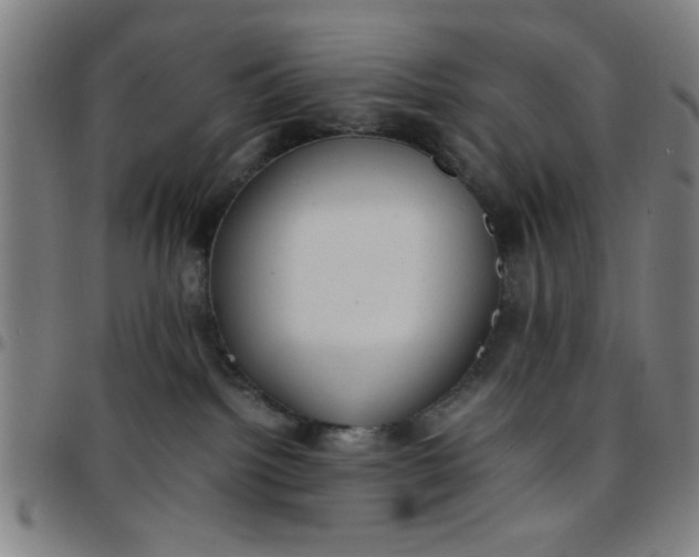 X0000097460092200803071641