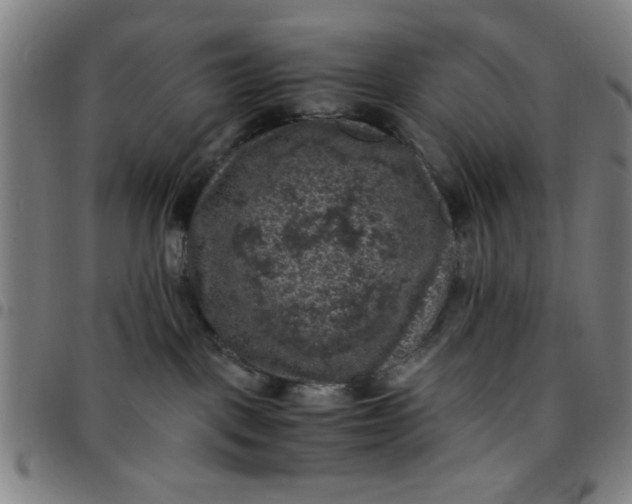 X0000097460093200803071641