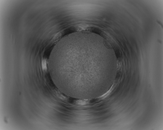 X0000097460094200803071641