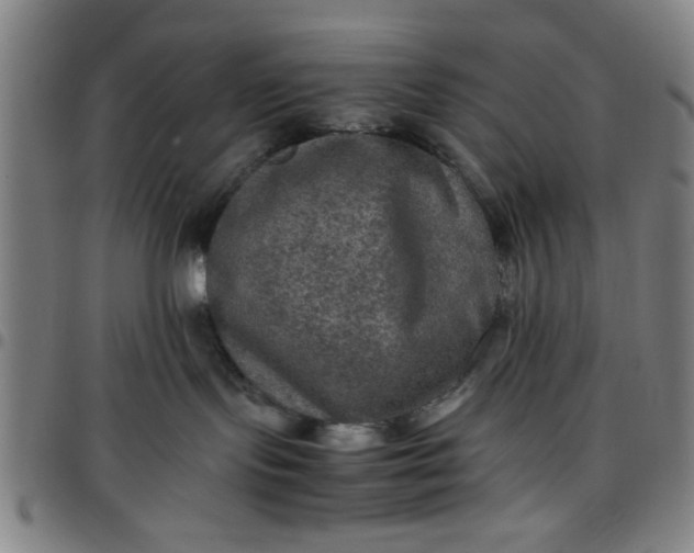 X0000097460095200803071641