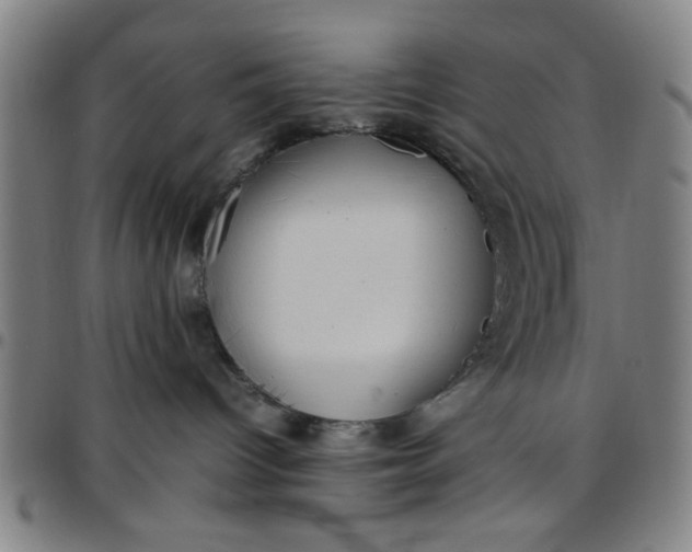 X0000097460096200803071641