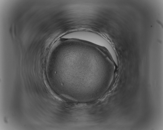 X0000097460097200803071640