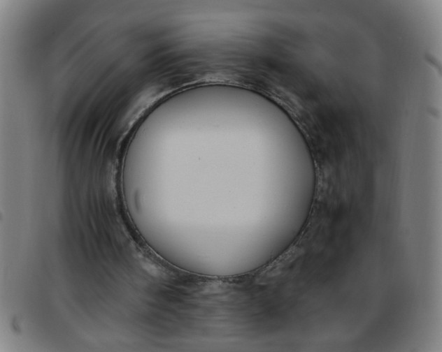 X0000097460098200803071640