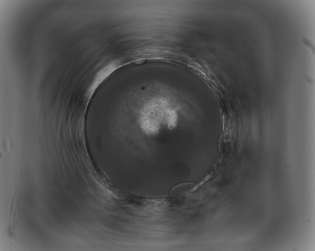 X0000097460099200803071640