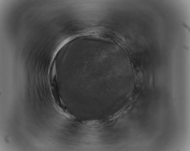 X0000097460100200803071640