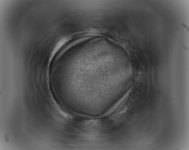 X0000097460102200803071640