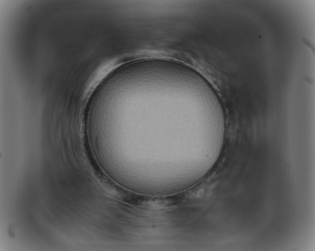 X0000097460103200803071640