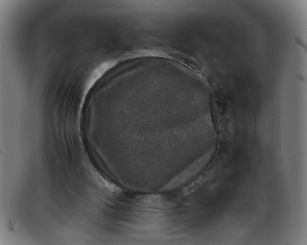 X0000097460104200803071640