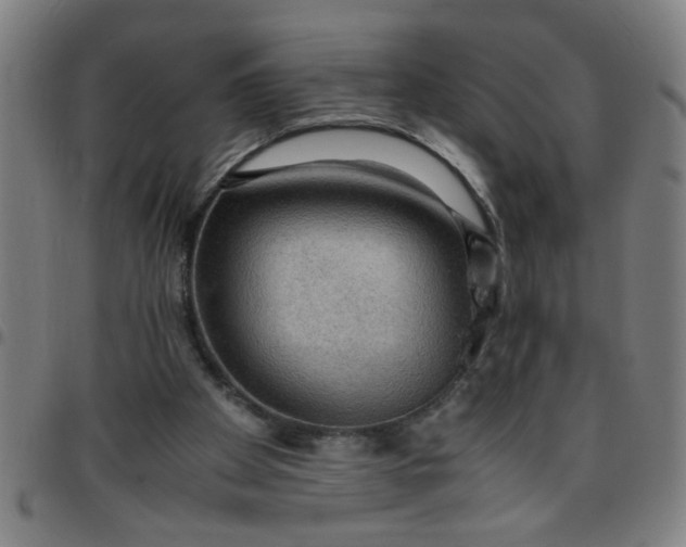 X0000097460105200803071640