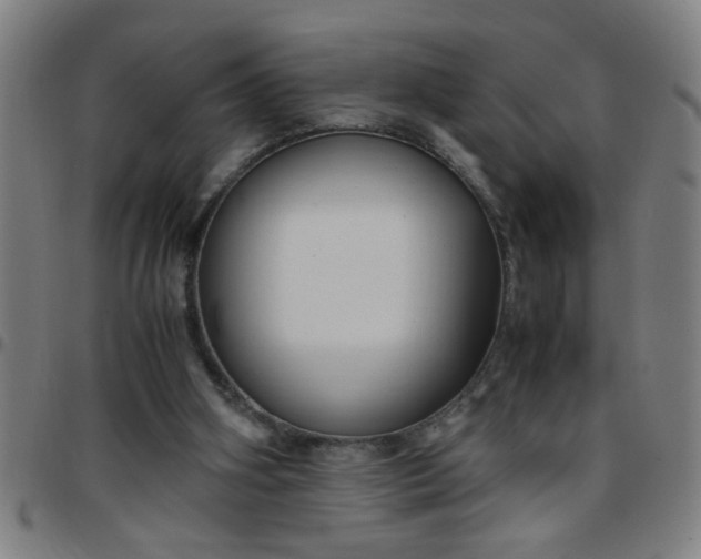 X0000097460106200803071640