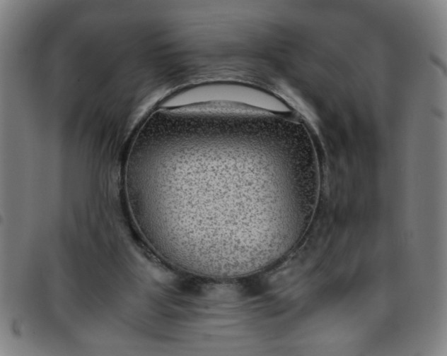 X0000097460107200803071640