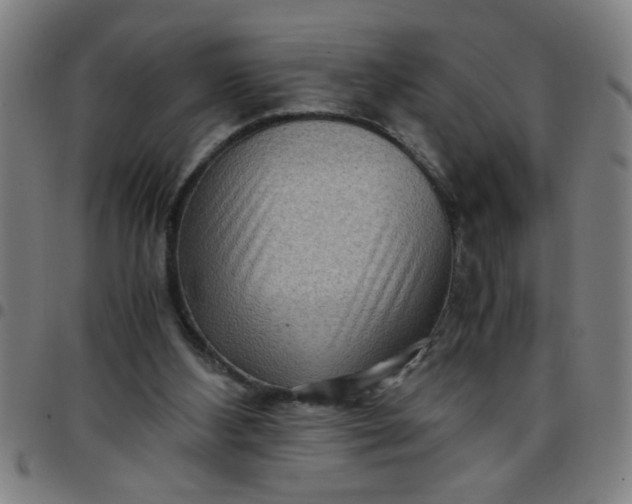 X0000097460108200803071640