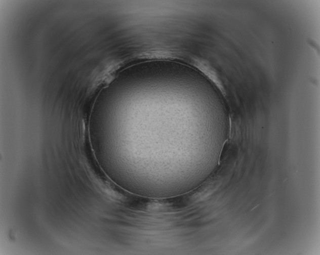 X0000097460109200803071640