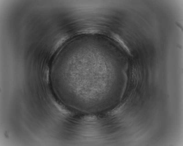 X0000097460110200803071640