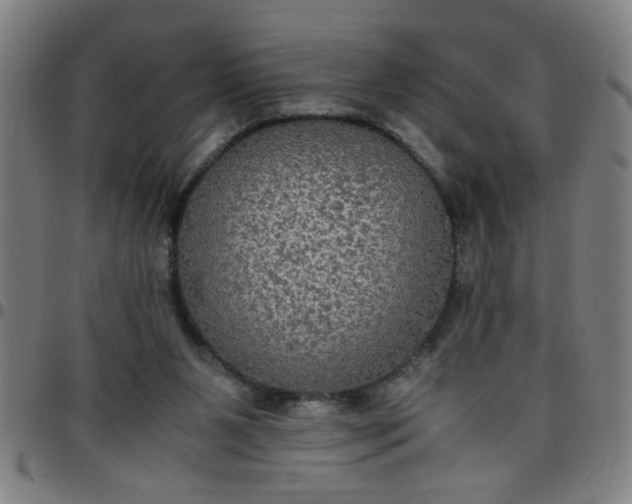 X0000097460111200803071640