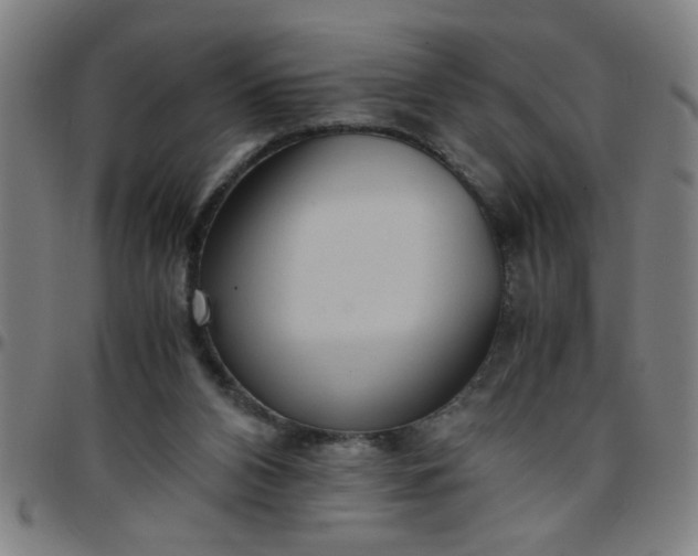 X0000097460112200803071640