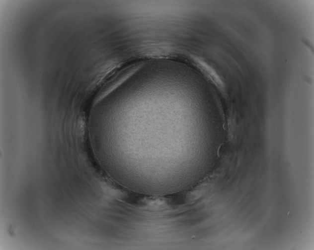 X0000097460113200803071640