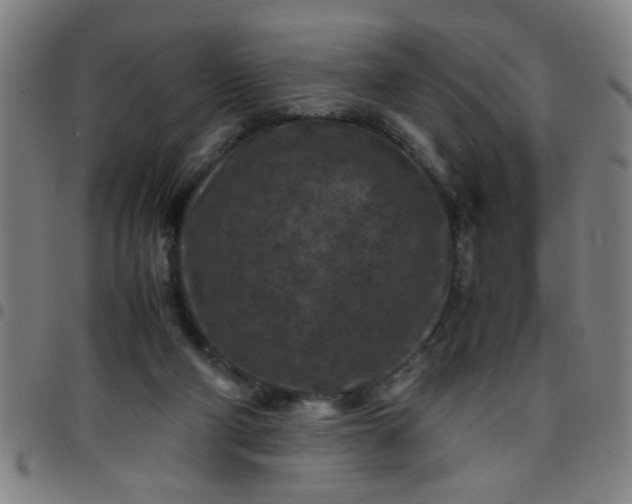 X0000097460114200803071640