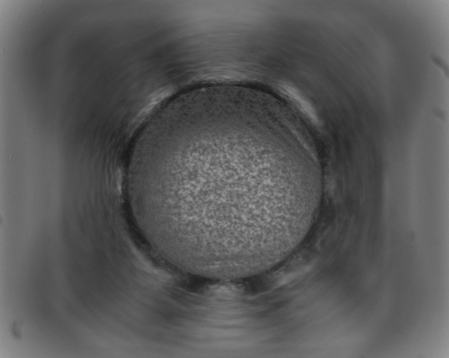 X0000097460115200803071640