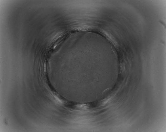 X0000097460117200803071640