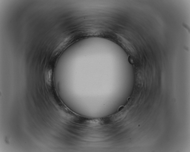 X0000097460118200803071640