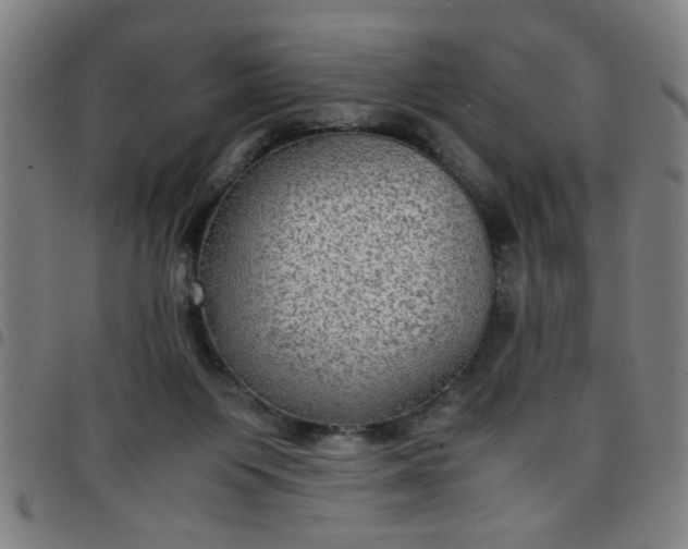 X0000097460119200803071640