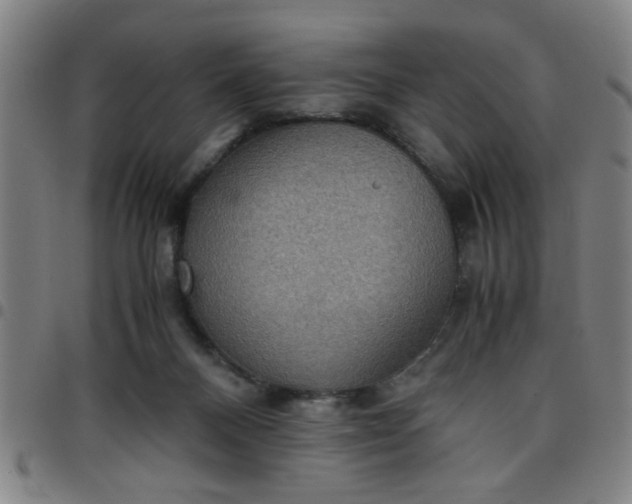 X0000097460120200803071640