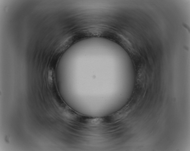 X0000097460122200803071640