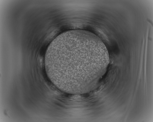 X0000097460123200803071640