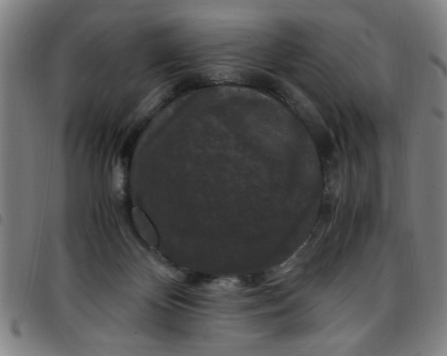 X0000097460124200803071640