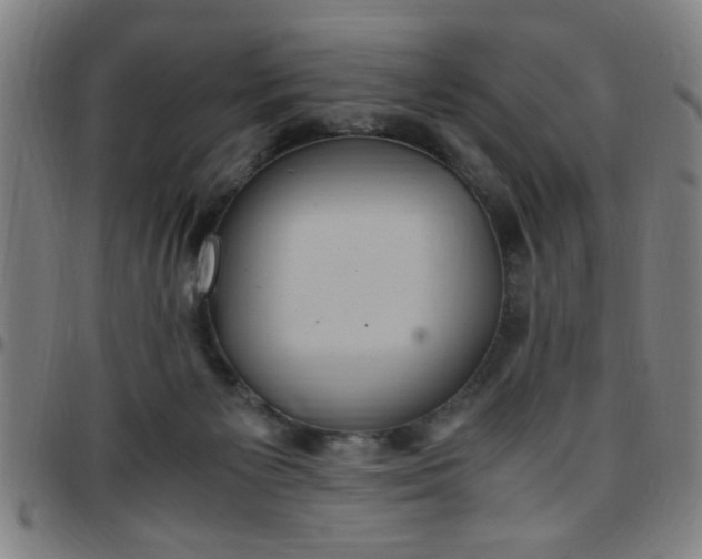 X0000097460125200803071640