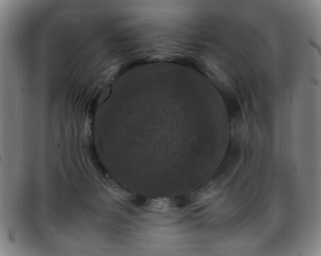 X0000097460127200803071640