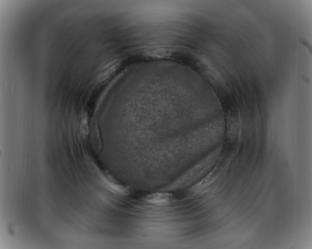 X0000097460128200803071640