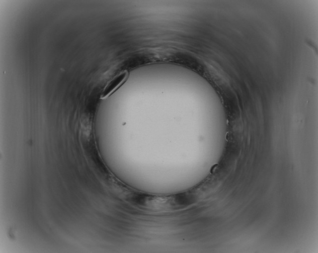 X0000097460129200803071640