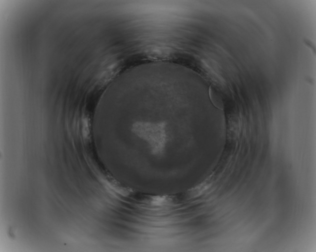 X0000097460130200803071640