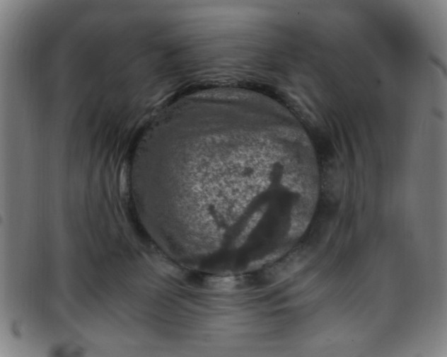 X0000097460131200803071640