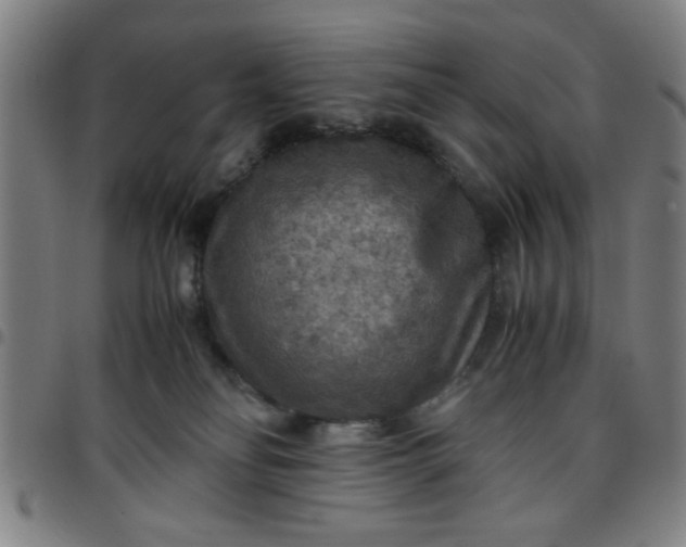 X0000097460134200803071640