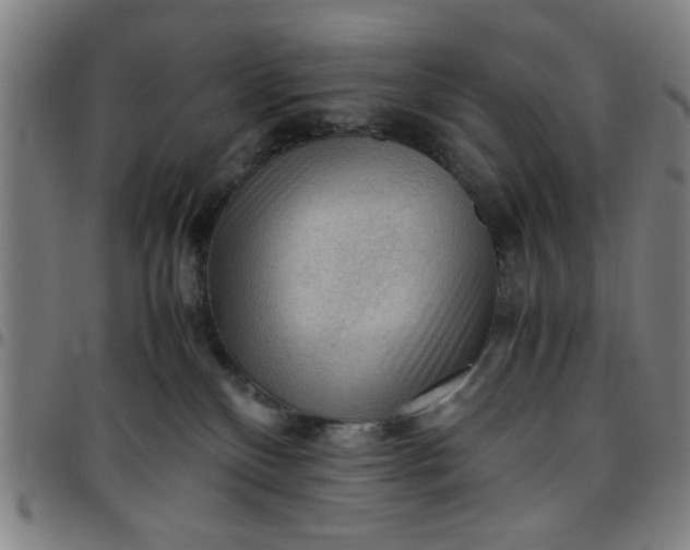 X0000097460136200803071640