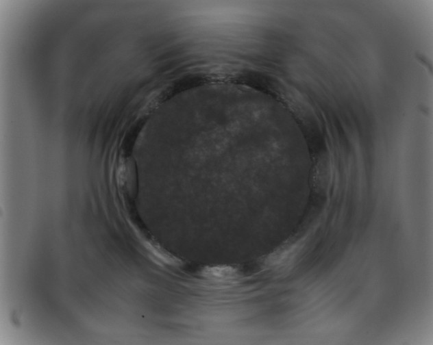 X0000097460137200803071640