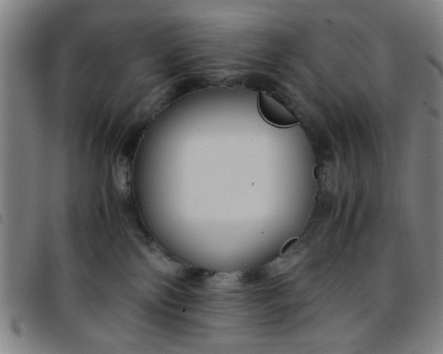 X0000097460138200803071640