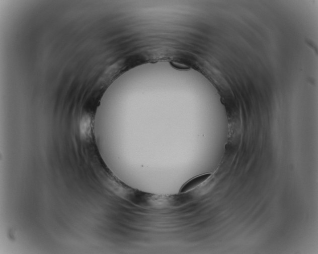 X0000097460142200803071639