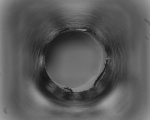 X0000097460143200803071639