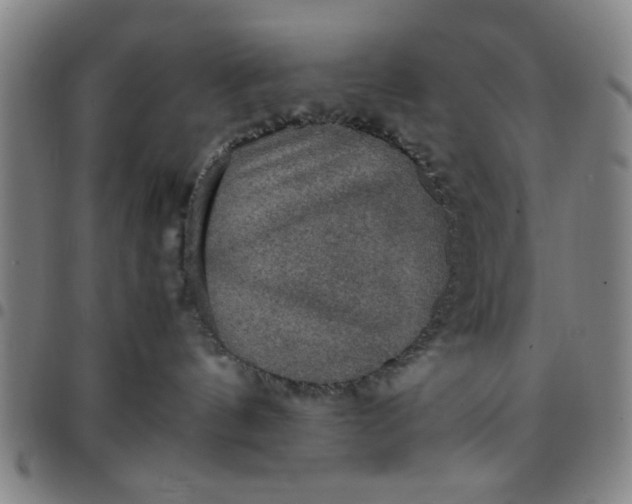 X0000097460144200803071639