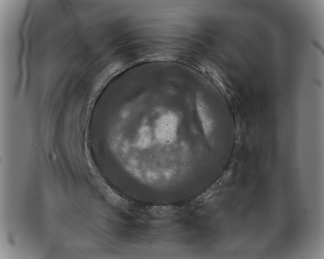 X0000097460145200803071639