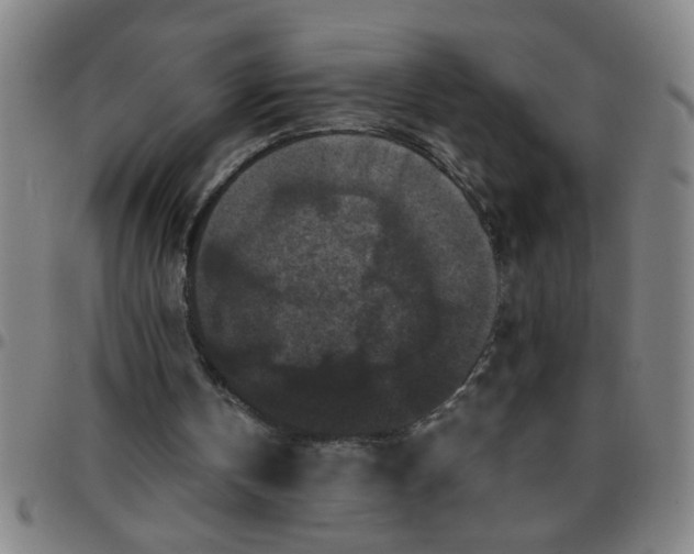 X0000097460146200803071639