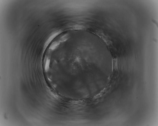 X0000097460147200803071639