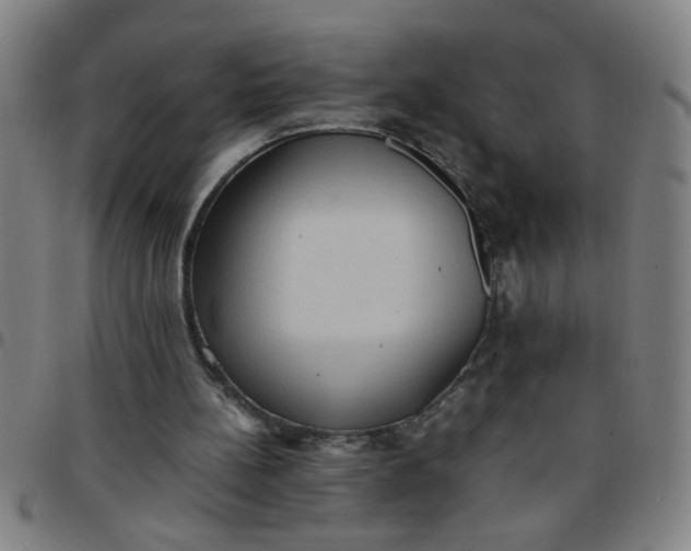 X0000097460148200803071639