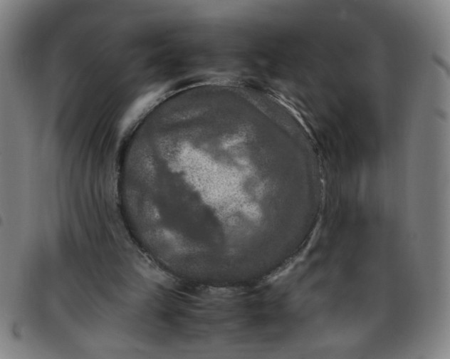 X0000097460149200803071639