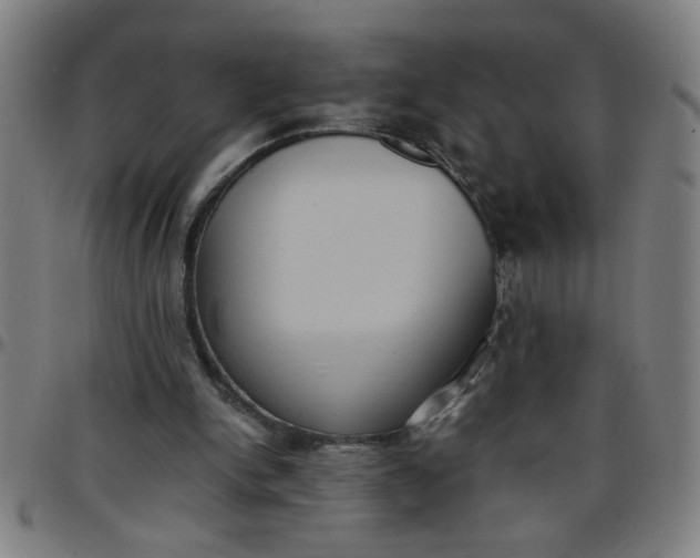 X0000097460150200803071639