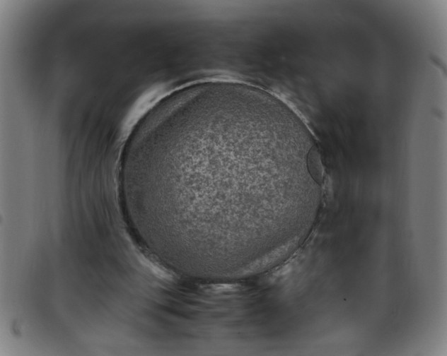 X0000097460151200803071639